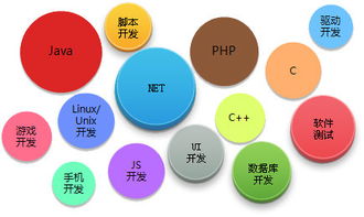 软件外包的制约因素