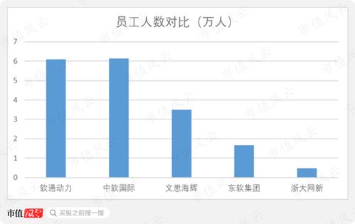 私有化后三次借壳失败 软件外包老二软通动力冲刺注册制