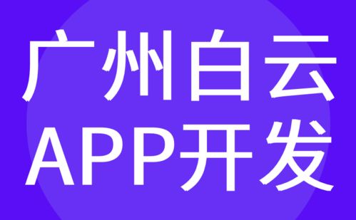 广州白云区APP开发与软件定制外包——红匣子科技的专业服务